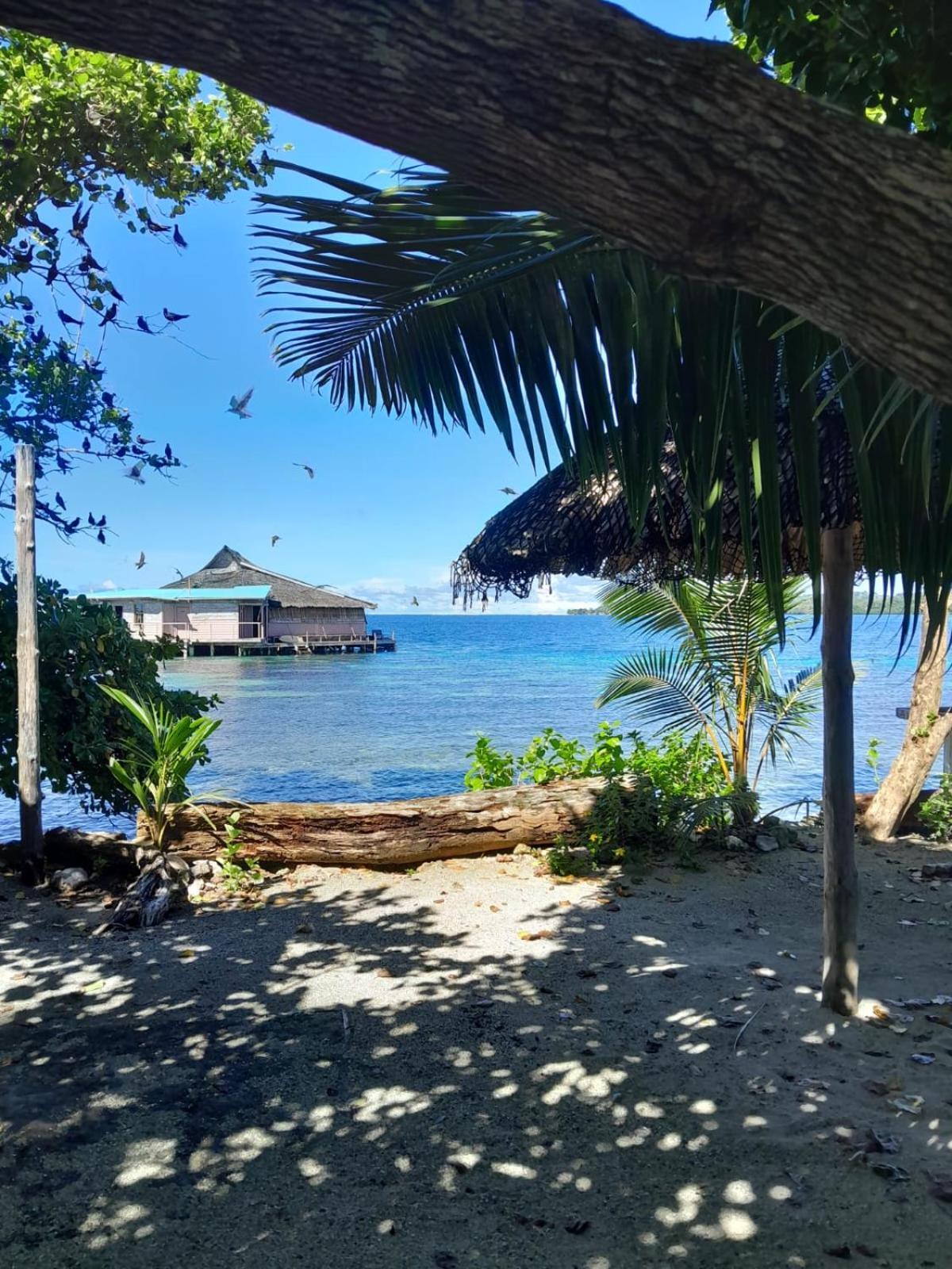 Imagination Island Eco Resort Gizo Exterior photo